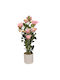 Γλαστράκι Λουλούδι Pink 75cm