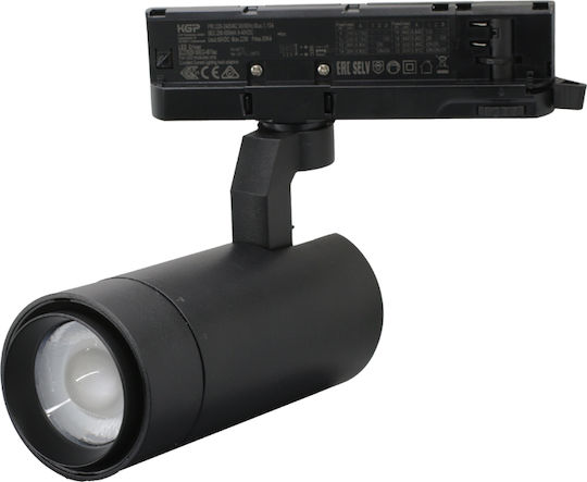 Adeleq LED Warm White Spot In Black Colour