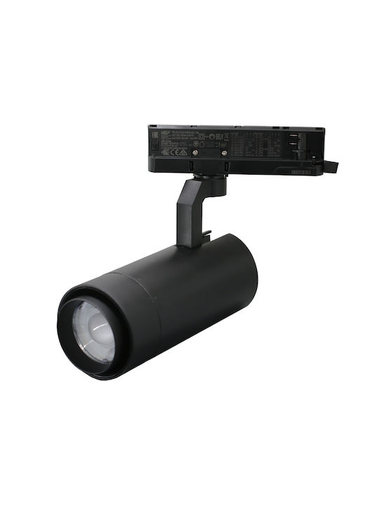 Adeleq LED Warm White Spot in Black Colour