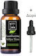 Gaia Products Bio Ätherisches Öl Eukalyptus mit Tropfer 10ml