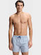 Men's Swimwear Shorts Blue Striped