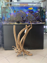 Tropische Hölzernes Aquariendekorationen Hs Aqua Woodstump 60-90cm 3.6kg Tropische Hölzernes Aquariendekorationen Hs Aqua Woodstump 60-90cm 3.6kg