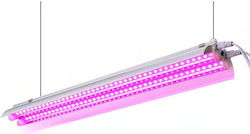 Alista Home Grow Light cu LED
