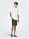 Herren Shorts Olive