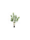 Elastica Ficus Lyrata Растение в Саксия 180см Atmosphera