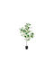 Lyrata Ficus in Pot 130cm Atmosphera