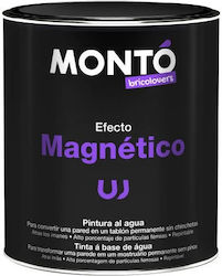 Monto Magnetic Effect Magnetic Gray Paint Monto Magnetic Effect Magnetic Gray Paint