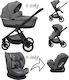 Beboulino Tortoni Umkehrbar 3 in 1 Baby Kinderw...