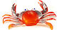 Black Diamond Artificial Octopus Bait Red