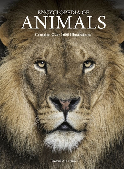 Encyclopedia Of Animals - Amber Books Ltd - Hardback