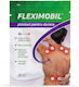 Plasturi Hidrogel Fleximobile Pentru Durere 12 Plasturi Fiterman Pharma