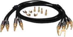 Ludic LUDICHERALOUD3 RCA-Stecker - RCA-Stecker 3m