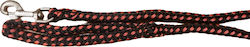 Schweikert Dog Leash Lead Strap Red