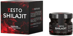 Zesto Himalayan Shilajit 20gr Pure