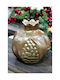Gerakis Tabletop New Year's Lucky Charm Brown Pomegranate Made of Plaster 11.5x11.5cm 004075KA