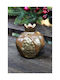 Gerakis Tabletop New Year's Lucky Charm Brown Pomegranate Made of Plaster 8x8.5cm 004077KA