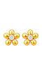 Xryseio Silver Gold Plated Earrings with Stones