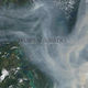 Damien Jurado Caught In Trees Cd