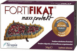 Terapia Fortifikat Max Protect 1100mg 30 Comprimate Terapia Fortifikat Max Protect 1100mg 30 Comprimate
