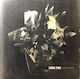 Linkin Park Living Things Vinyl