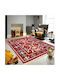 Kotonia Home Χαλί Ορθογώνιο Βαμβακερό Πολύχρωμο 60x90cm