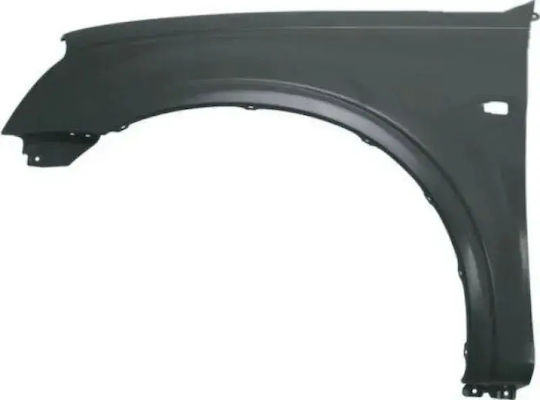 Fender Isuzu D-Max '02-'07 2WD Loch Blinker Ohne Löcher Dekorativ Vor Links