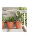 vidaXL Set of 6 Plastic Flower Pots Terracotta 39x32cm