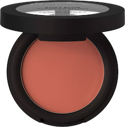 Catrice Cosmetics Rouge Soft Zimt Zuckergeschmack 5g