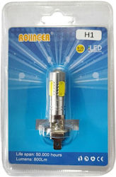 H1 LED Lamp Cold White