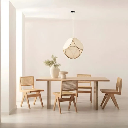 Dining & Kitchen Chairs Wooden Beige 2 Pieces 44x51x78cm