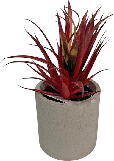 Keramisches Topfpflanze Kunststoff Dracaena Burgundisch 7,5x17cm 21086 Code 16398