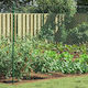 vidaXL Wire Fencing Green 2x20m