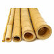 Showood Bamboo Cane for Garden Fencing 10x10cm