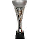 Tryumf Silber Trophäe Sportpreise