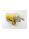 Animal Dog Coat Waterproof Hooded Yellow With Back Length 32 cm