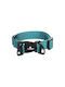 Flamingo Dog Collar Zorba Turquoise Medium 40-55cm X 32mm