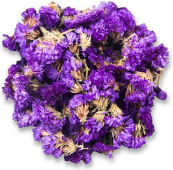 Flori Uscate Forget-me-not 30gr Rășină Bijuterii