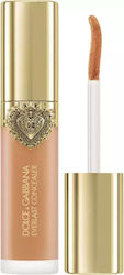 Everlast Liquid Concealer 26 Medium Deep 11ml