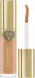 Everlast Liquid Concealer 21 Medium 11ml