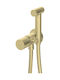 Deante Wall Mounted Bidet Faucet Gold