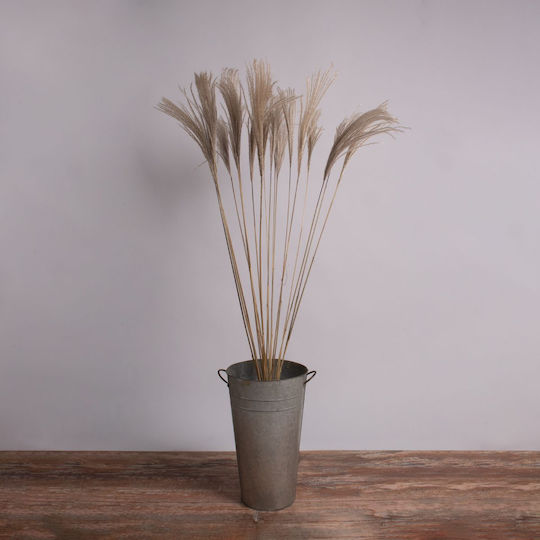 Globostar Miscanthus 36539 Dried Miscanthus Plant Bouquet of Decorative Beige Branches H140cm Set of 10 Pieces