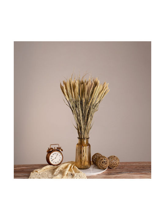 Globostar Pennisetum 36503 Dried Pennisetum Plant Bouquet of Decorative Branches Beige Green Height 60cm Set of 100 Pieces