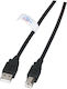 EFB USB 2.0 Кабел USB-A Мъжки Черен 0.5м K5203.0,5
