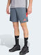 Essentials Sport Herren Shorts Grau