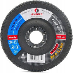 ANDRE abrasive articles Pro Δίσκος Λείανσης 125mm