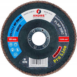 Andre Schleifscheiben 125mm P 80 Zirkonium Pro ...