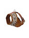 Harness Dog Leopard Pattern M Neck Circumference 30cm/chest Circumference 44-57cm