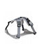 Harness Dog Gray Mesh S Neck Circumference 34-42cm/chest Circumference 41-52cm