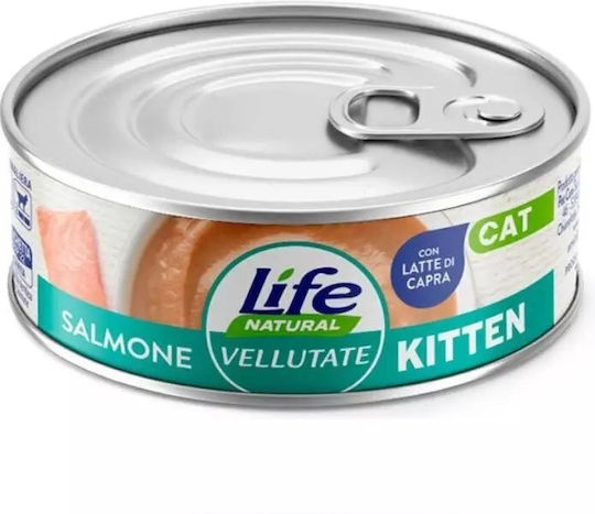 Nasses Katzenfutter für Junior-Katzen in Beutel mit Lachs 70g