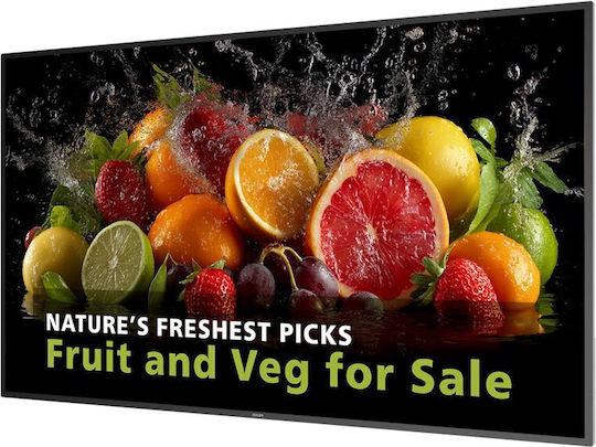 Philips Dline Public Display LCD ADS 4K UHD 65"